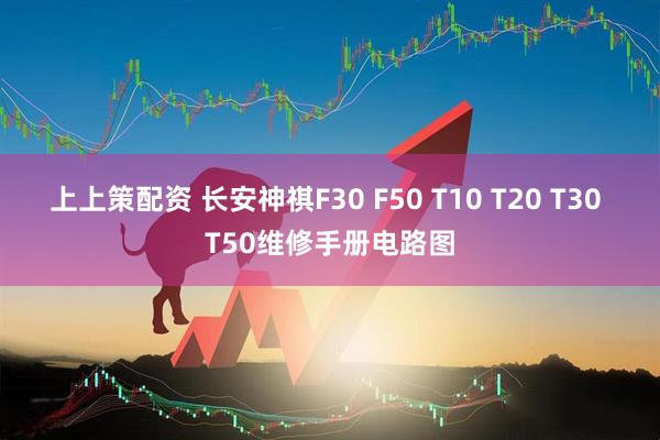 上上策配资 长安神祺F30 F50 T10 T20 T30 T50维修手册电路图