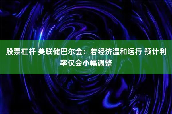 股票杠杆 美联储巴尔金：若经济温和运行 预计利率仅会小幅调整