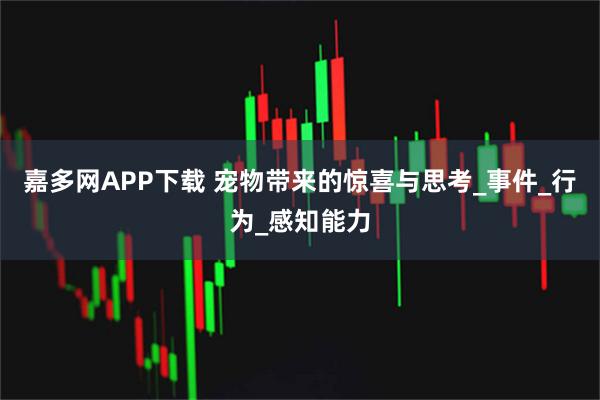 嘉多网APP下载 宠物带来的惊喜与思考_事件_行为_感知能力