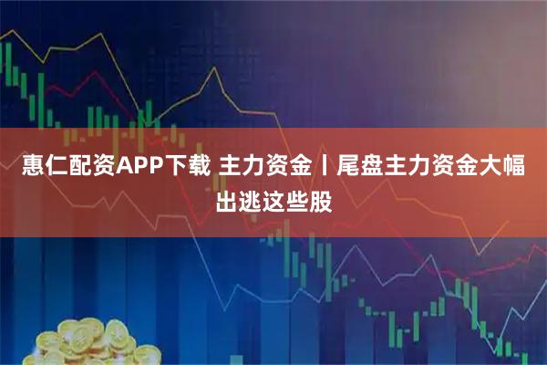 惠仁配资APP下载 主力资金丨尾盘主力资金大幅出逃这些股